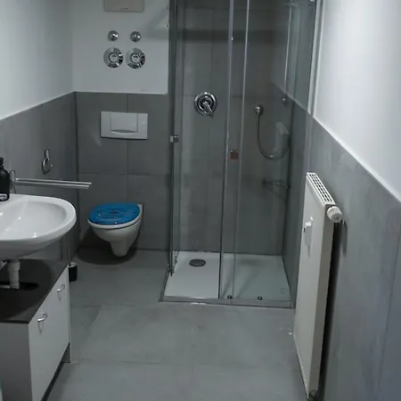 Exklusives City-appartement Im Stadtzentrum 菲林根-施文宁根