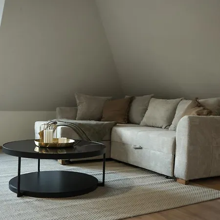 公寓 Exklusives City-appartement Im Stadtzentrum 菲林根-施文宁根